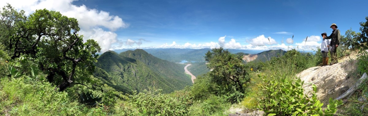 Field work in Mexico