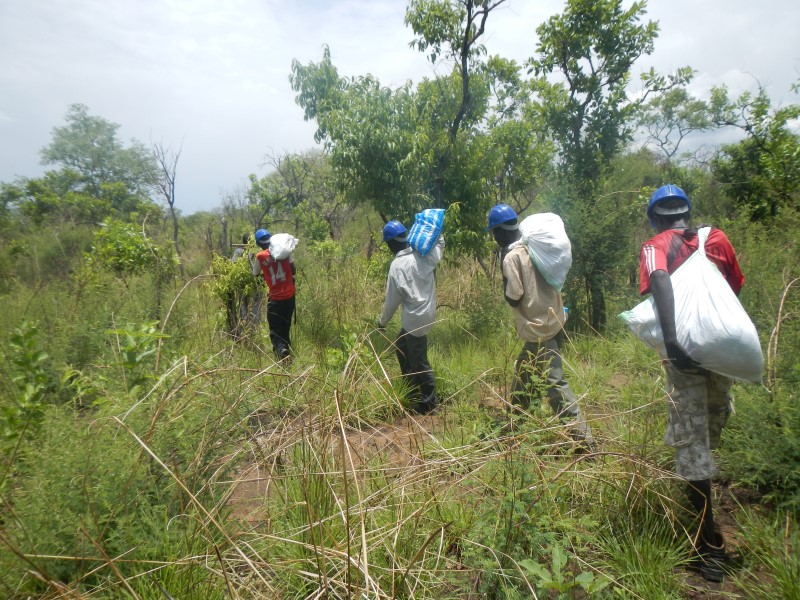 Soil sampling in South Sudan
